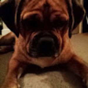 Meet your Posher, Chloe